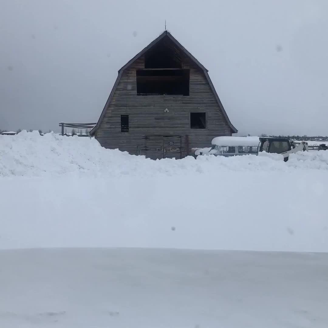 We LOVE winter in the Tetons. Winter in the new farm is wonderful. Read more on our blog, link in bio.
#RegenerativeAgriculture #SmallFarms #HealthySoil #CommunitySupportedAgriculture #SustainableHarvest
#Sustainability #LocallySourced #FreshProduce #EthicalFarming #GreenLiving #WomanOwned #FemaleFarmer #WomenInAg #bossbabe #womeninagriculture