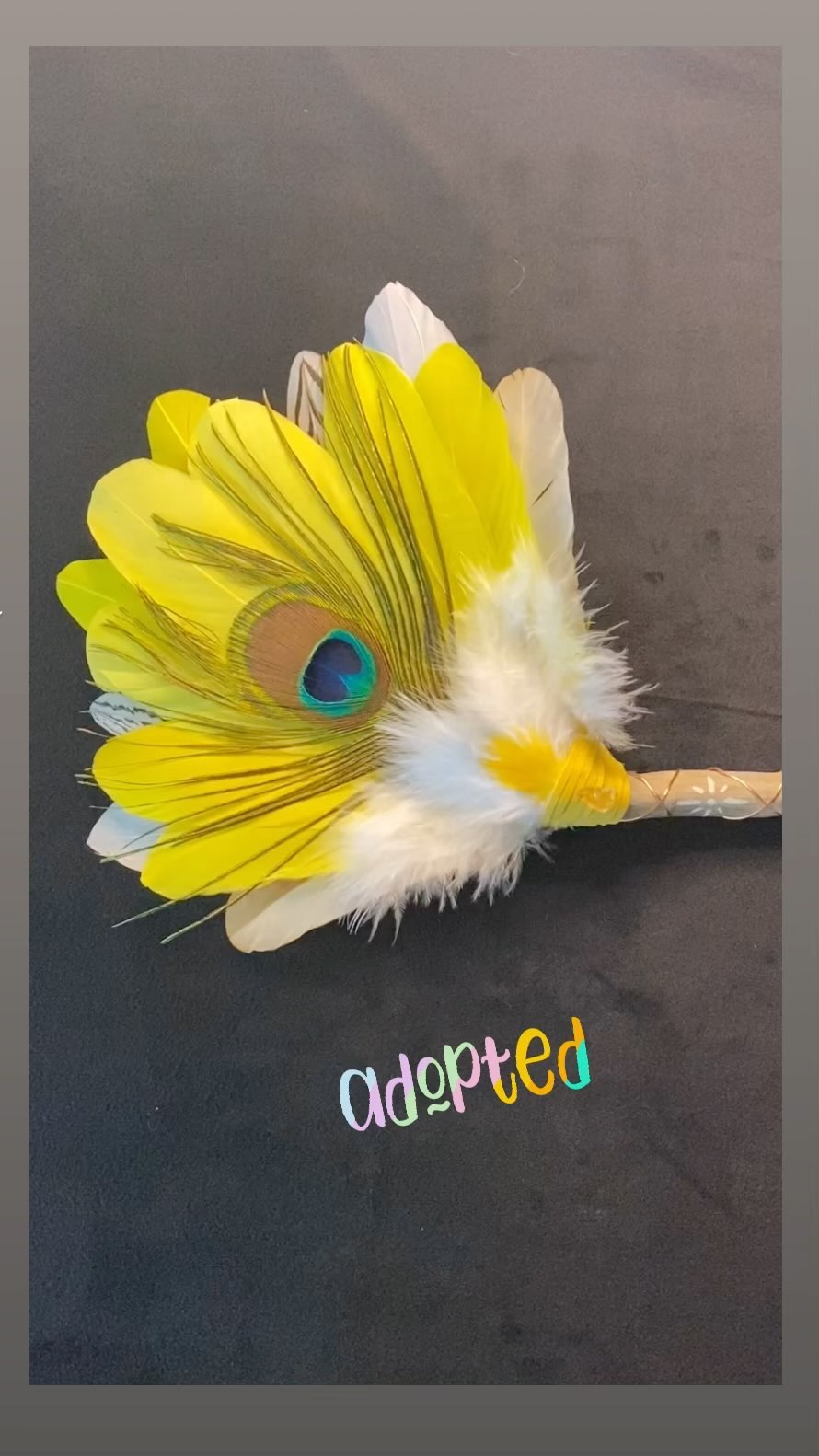 Akawana de la joie de vivre, du soleil, il apporte le fun dans ta vie et te rappelle l’importance de profiter moment présent ! Just have fun. On a l’impression qu’il est posé et qu’il veut juste « kiffer » sa life et envoyer de bonne énergie !!!🙏✨🥰
#akawana #fun #momentpresent #momentprésent #joiedevivre #joiedevivre🌹 #profite #profitedelavie #soleildanstavie #soleil #soleil🌞 #havefun #havefun💋 #goodvibes #kiffe #love #loveyourself #loveyou #bonneenergie #energiepositive #énergiepositive