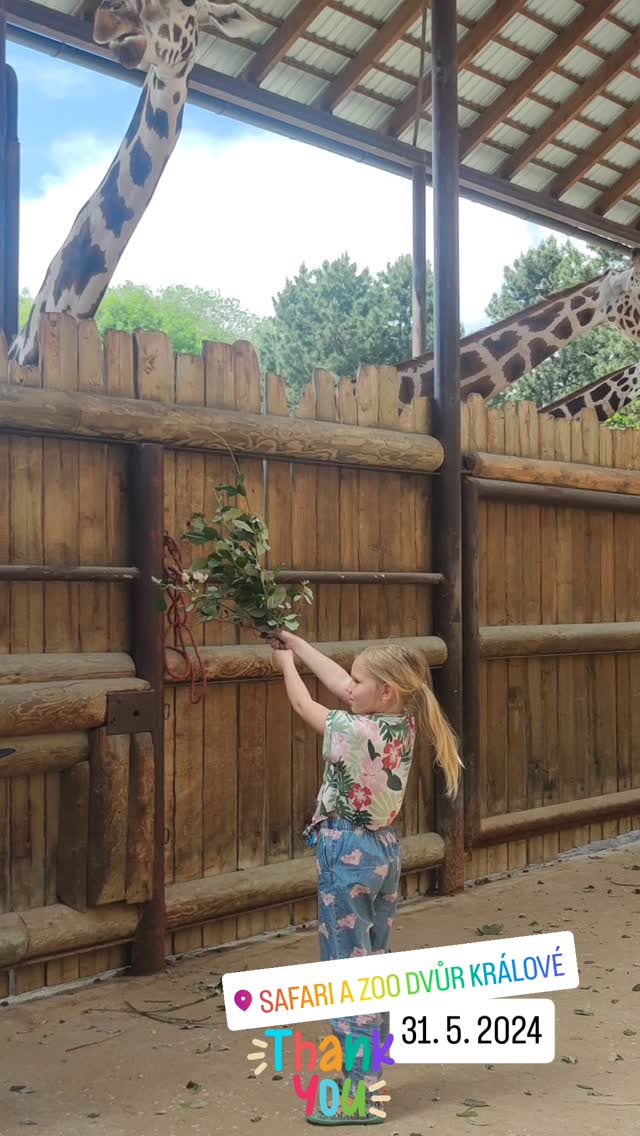 ❓Jaké zvíře má tak dlouhý jazyk, že si jím dosáhne do ucha i do oka?
❓Věděli jste, že Big Five není jen názvem psychodiagnostické metody a testu osobnosti, ale také označení pro 5 afrických zvířat? Která do Big Five patří si jistě vygooglíte, ale kdo chcete hádat i bez Googlu, klidně pište do komentářů. Já za tuhle otázku vyhrála v sobotu ČSOB merch, heč 😇😉.
🙏 Musím říct, že péče o zákazníky, zejména ty VIP je v @csobcz skvělá. Poprvé v životě jsme byli na ČSOB klientské akci v @safariparkdvurkralove… A vážně to stálo za to a za mě naprosto předčilo mé očekávání:
🌍 Snídaně formou rautu
🌍 Safari s průvodcem v safari trucku
🌍 Krmení nosorožčí dámy Evičky, kterousi děti mohly pod dozorem i pohladit
🌍 Skládání nohy z kostí mrtvé žirafy
🌍 Krmení žiraf (podle celé naší rodiny zcela top zážitek dne)
🌍 Znalostní soutěž pro děti I dospělé o ceny
🌍 Vouchery na oběd pro celou rodinu
A na závěr dotaz mé 9leté dcery: "Mami to bylo super. Jen nechápu, proč nám to dali zadarmo, když jim dlužíme těch 5 miliónů?" Co byste odpověděli vy a co myslíte, že jsem odpověděla já? 😂
Děkujeme @csobcz za tento skvělý zážitek den před dnem dětí… Bylo to vážně báječné. 🙏❤️
#prozakazniky #peceozakazniky #zoo #safari