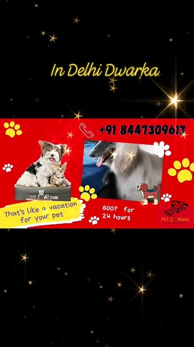 Hello , dear pet parents we r here for take care of your fur buddies while you are on vacation, Now your pets also feel convenient or comfortable stay at our boarding homes which gives them a home environment, where your pet will never get bore. They can play, go for a walk as thier own home. for more information call us 9650226453 and drop whatsapp msg here.