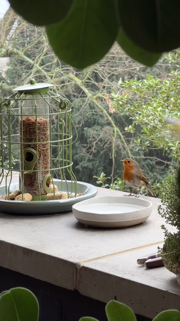 Gardener’s friend 🧡