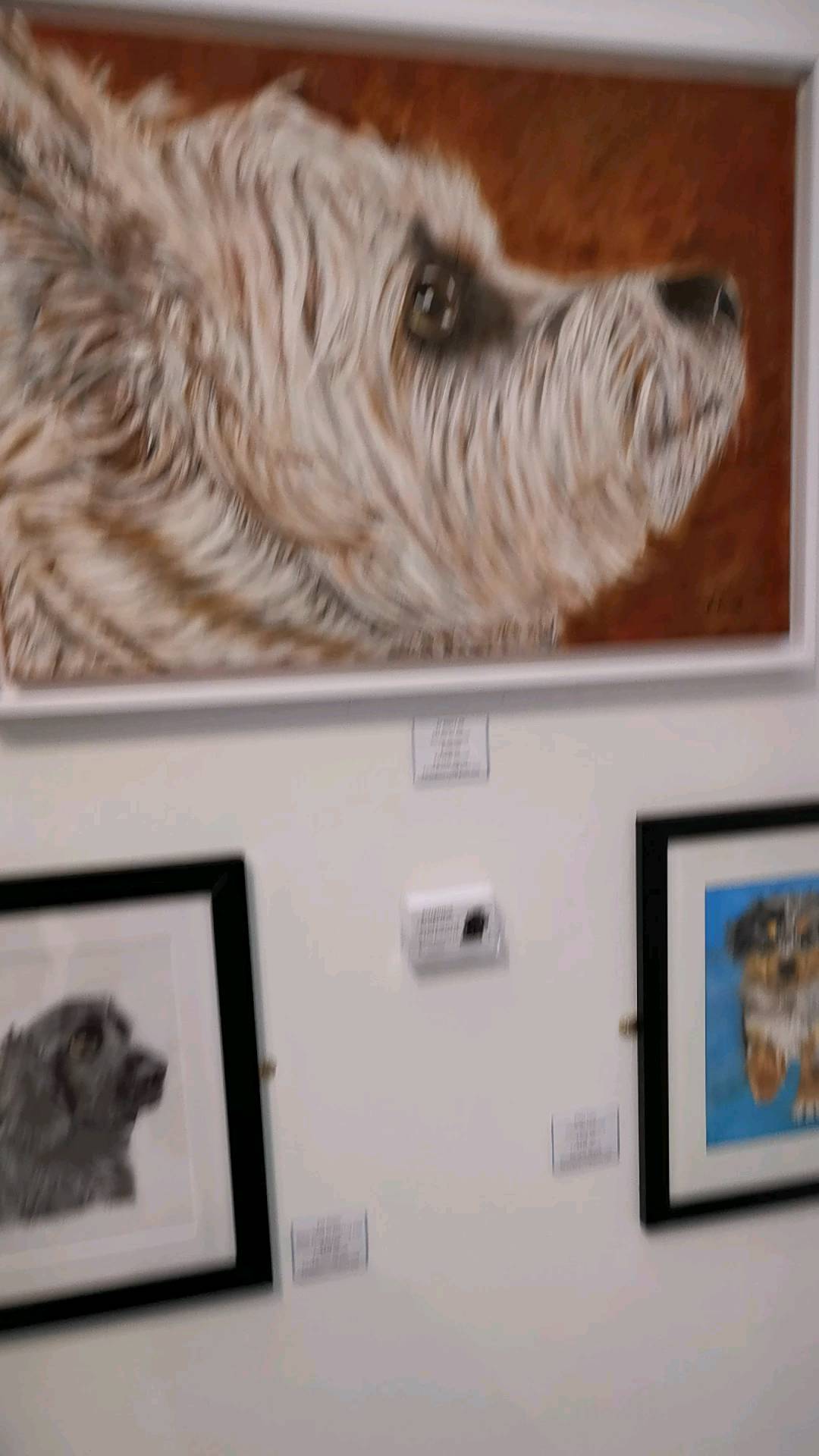 My part of the exhibition in the Core gallery Solihull. Very happy. The entire exhibition is amazing with all the talented artists 💖#galleries #gallery #doglovers #colourpencils #eatongallery #londongallery #tatebritain