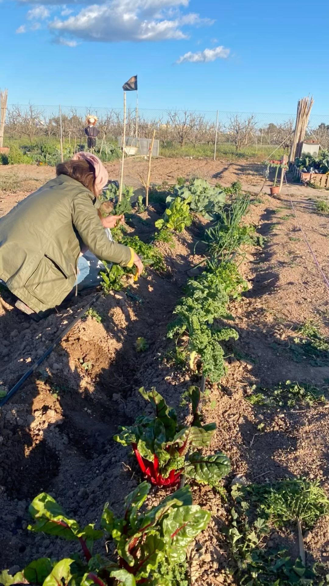 Bendita tierra 🙌🏼 - G R A C I A S. .🥦🥬