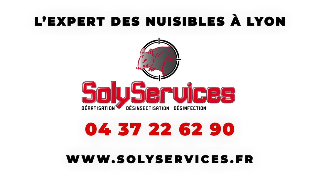 Solyservices fait son entrée au cinéma à UGC Lyon part-dieu avec son annonce sur les nuisibles à Lyon et sa région.
SOLYSERVICES vous aide à éradiquer les nuisibles à Lyon, dératisation, désinfection, désinsectisation.
Merci à Yannick Lauze pour la création
#sardakin
#sardakinwebdesign
