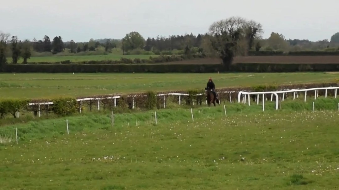 ⭕Lot 323 - a powerful filly by Sioux Nation out of a Dark Angel Dam @tattersalls1766 Guineas Breeze-up Sale. Superb attitude to work, this filly has both the strength and stamina to go on and do great things. @brzups