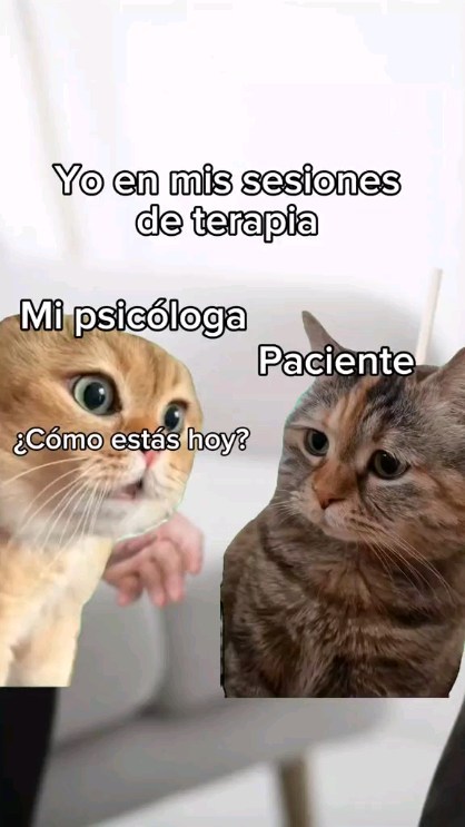 ¿Alguien más que automáticamente diga bien? 🙋♀️
#humor #terapiaonline #psicologa #memegato #psicologia #humorpsicologia