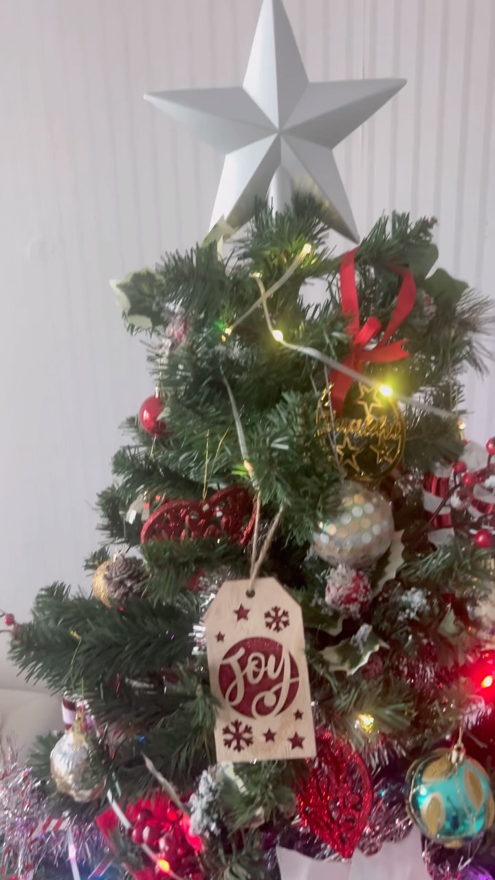 And we are all set to welcome Christmas!!! I just love the festivities.. The music, the vibes, the love, everything that this festival beings with it and let's not forget The Magic!!!!! 🌟
#christmaslove #ilovechristmas