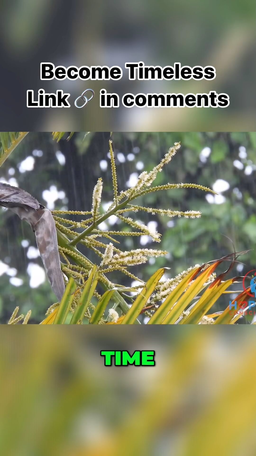 Become Timeless #meditate #meditation #relax #mindfulness #hopefulconsciousness
https://youtu.be/oz6SaNAN_9U?si=CZ2seFwFrvyy7yk9