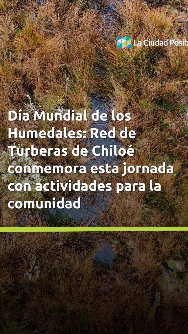 🎉 Hoy viernes 2 de febrero se conmemora el Día Mundial de los Humedales, y para este año y según la ONU, el foco de la conmemoración es “humedales y bienestar humano”, con el fin de dar a conocer cómo aspectos como la salud física, mental y ambiental, entre muchos otros, están ligados a la salud de los humedales del mundo.
🌾 Pero, ¿qué es un humedal? No todos vivimos cerca de uno, por lo que a veces no manejamos un concepto, y menos comprendemos su importancia para las personas y la naturaleza. Lo cierto es que los humedales son ecosistemas en los que el agua es el principal factor que controla el entorno y la vida vegetal y animal asociada al mismo. Una definición amplia de humedales incluye los ecosistemas de agua dulce, los marinos y los costeros, como los lagos y ríos, los acuíferos subterráneos, los pantanos y marismas, los pastizales húmedos, las turberas, los oasis, los estuarios, los deltas y las marismas, los manglares y otras zonas costeras, los arrecifes de coral y todos los lugares creados por el hombre, como los estanques de peces, los arrozales, los embalses y las salinas. A pesar de que sólo cubren alrededor de 6% de la superficie terrestre, son el hábitat del 40% de todas las especies de plantas y animales.
🙌🏼 Hermes Vera, conservacionista de la Red de Turberas de Chiloé, junto a Verónica Díaz, bióloga a cargo de los talleres del proyecto Par Explora Los Lagos, de la Universidad Austral, celebraron esta fecha en la Turbera de Púlpito; la convocatoria fue abierta y gratuita para todo público hoy desde las 10:0 a 12:00 del día. El objetivo fue dar a conocer a la comunidad el santuario y las características de una turbera y su importancia ecosistémica. Segundo Aquintur de Turberas de Aucar (75 Há) y Marcos Ojeda de Turberas de Punta Lapa (7,5 Há) también abrieron sus predios para la comunidad.
#humedal #turberas #chiloe #chile
Fuente: UN.org