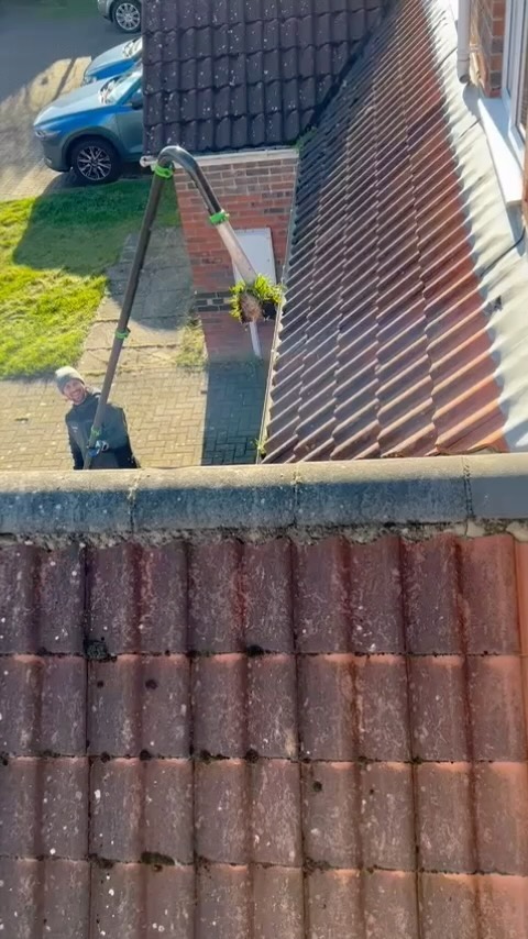 Catch of the day 🎣