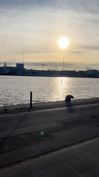 Så er vi i gang👏Håber, I har lyst til at kigge forbi.
Vi er her fra 10-20 i morgen, og igen søndag 10-16♥️
#tinywindow #irmapedersensgade #århusø #popupshop @gentaenk @gallerifisker