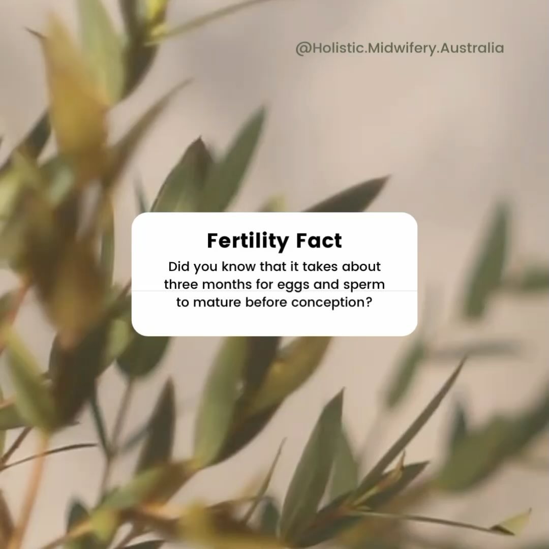✨ This means the choices you make today—nutrition, stress management, and lifestyle changes—can directly impact your fertility in the months to come!
🌿 Small steps like eating a nutrient-dense diet, supporting your body with herbs, and reducing toxins can make a big difference in your journey.
💡 Your body is always working for you—give it the love it deserves!
📞 Contact me for more information about natural fertility or share it with someone you know 💜
#FertilityFact #NaturalFertility #PreconceptionHealth #NaturopathicSupport #TTC #Infertility #Preconception