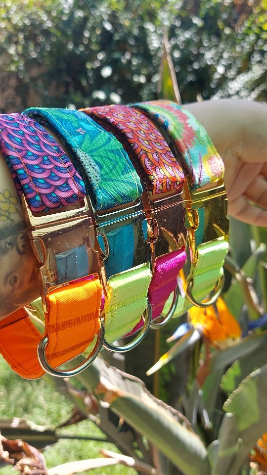 En 🔥 con esta combinación de collares clic 😍
Te imaginas a tu wawito🐶 con una de estas bombitas de color ? 💥💣🌈
¿ Cuál es tu favorito ?
De izquierda a derecha :
1. BE The Sunshine
2. Umi
3. Do What You Love
4. Eiwa
🙈 Cuál será?
#collarperro #perrihijos #perroseninstagram #perroschilenos #perrosfelices