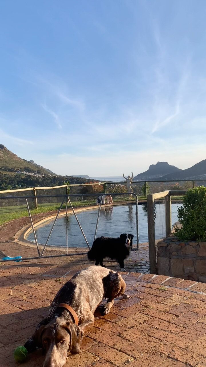 Valley Shala perspectives 💖