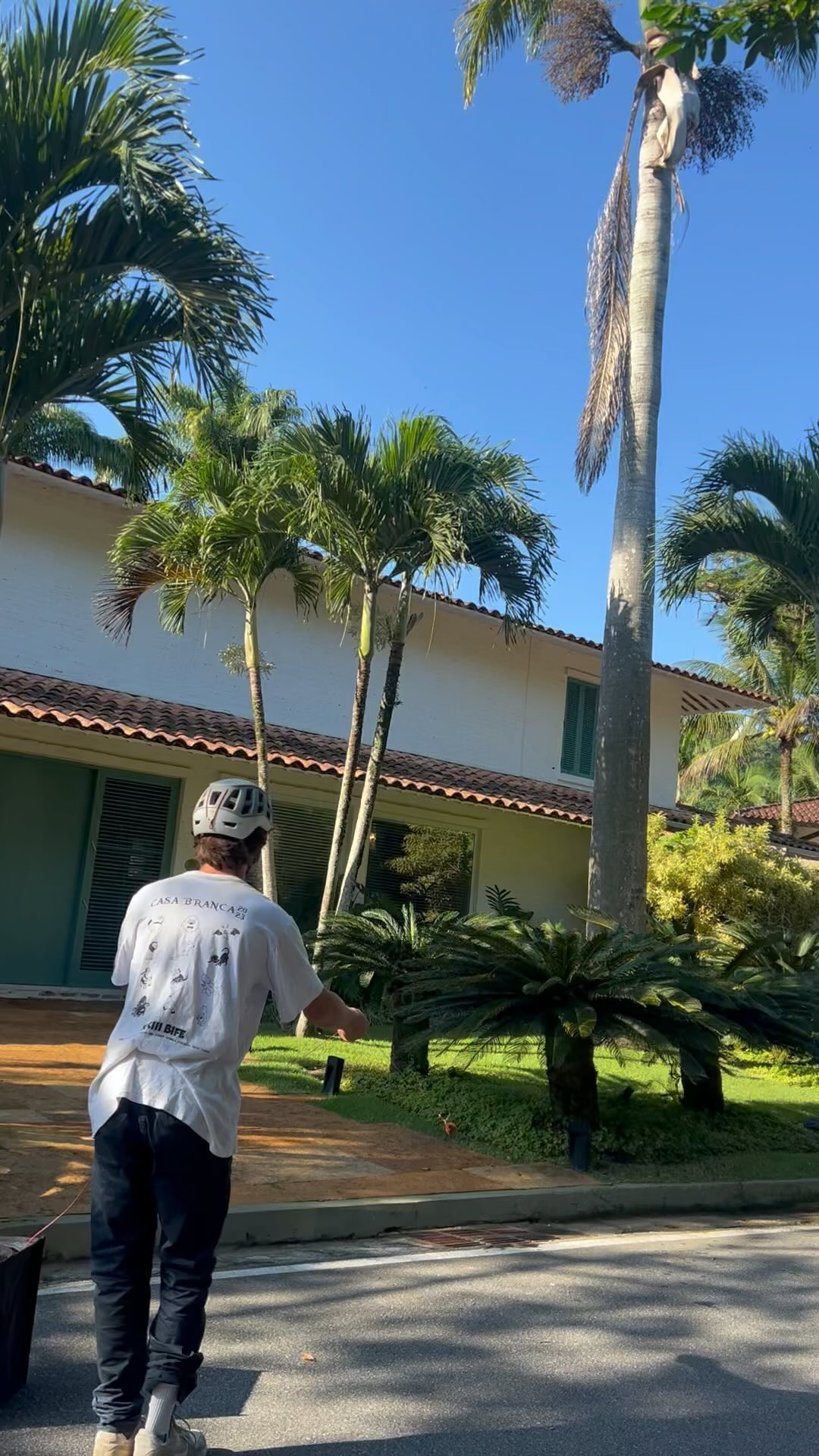 1º passo para trabalho em altura de palmeira imperial 🌴 🏹 arremesso de linha