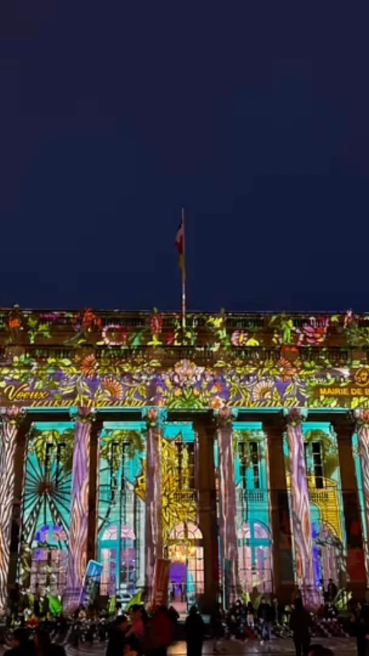 Enjoying the season! Holiday lights in #bordeaux #bordeauxmaville #noel #christmas #holidayseason #bdxlive #france #mybordeauxtours