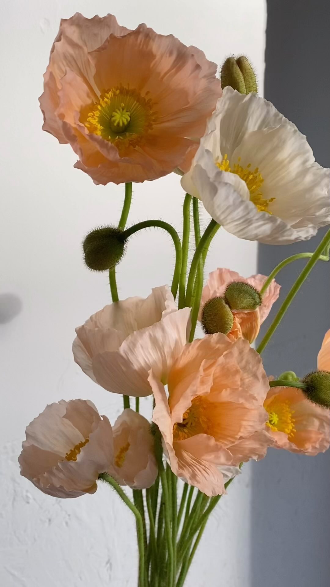 What a wonderful couple of weeks! Thank you to everyone for all your orders and supporting locally grown Devon flowers. What a treat to see the sun out today, have a lovely weekend! ☀️