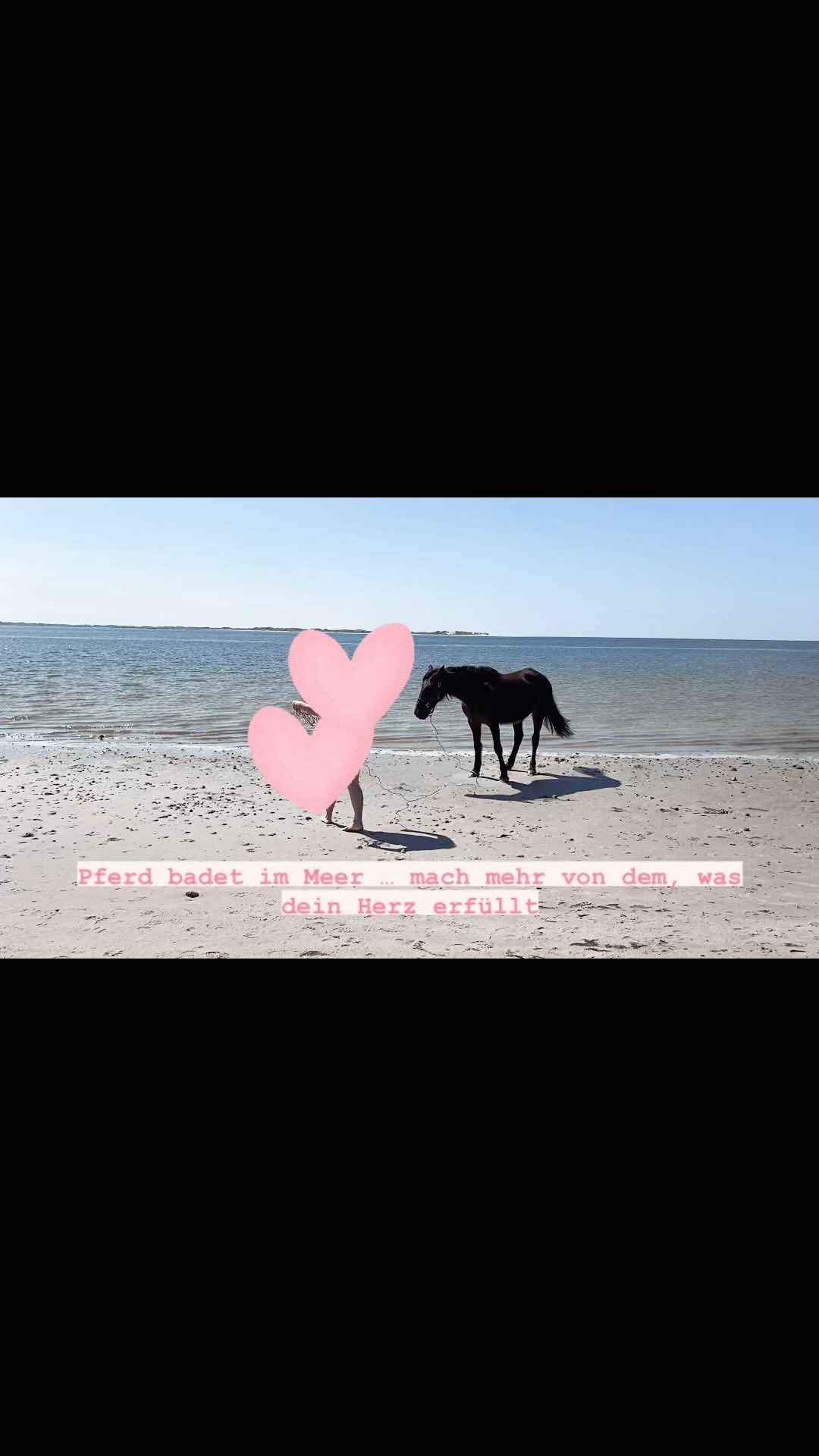 Pferd badet im Meer - mach mehr von dem, was dein Herz erfreut.