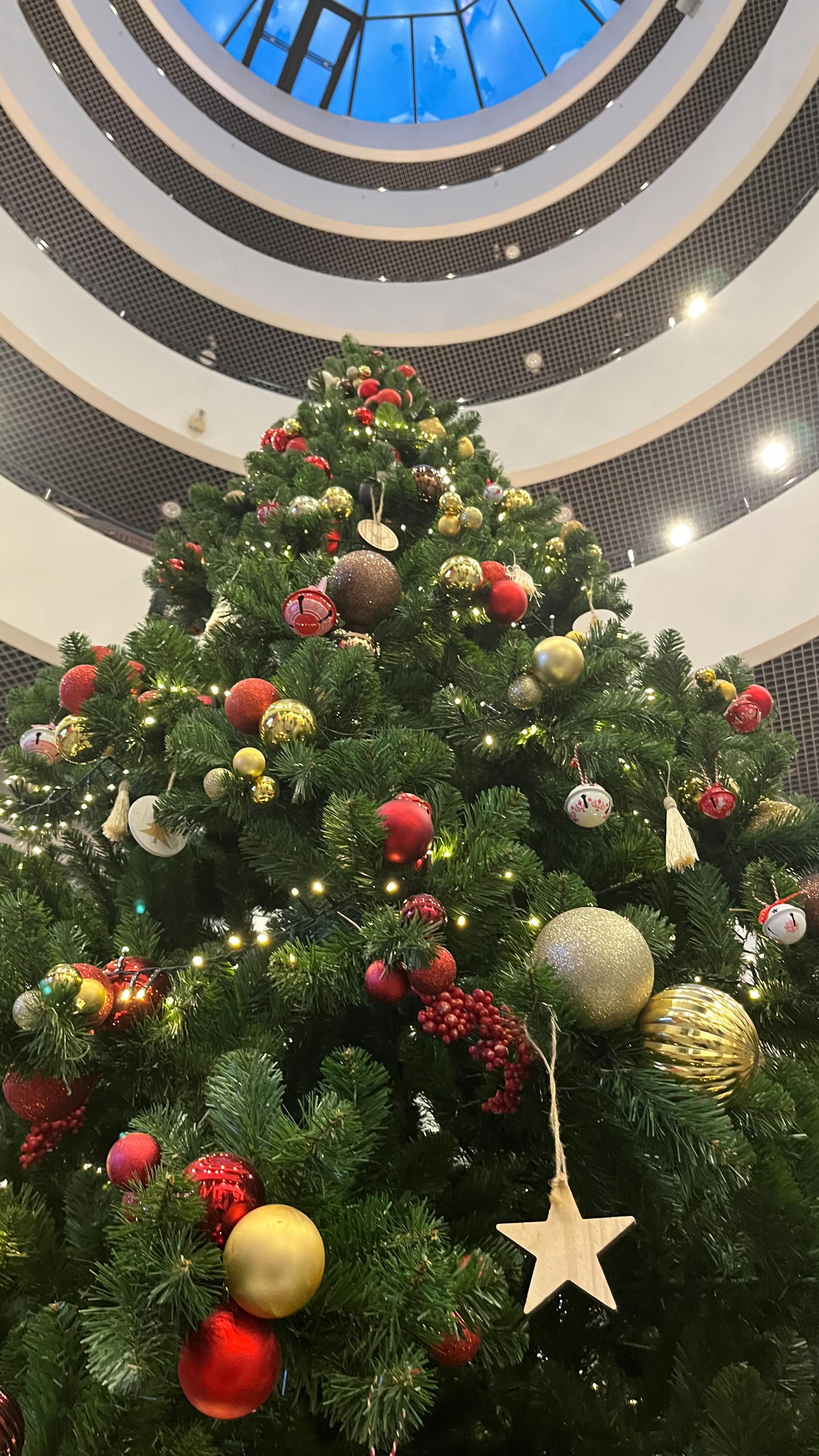 Les sapins ont pris place sur nos bâtiments 🎄