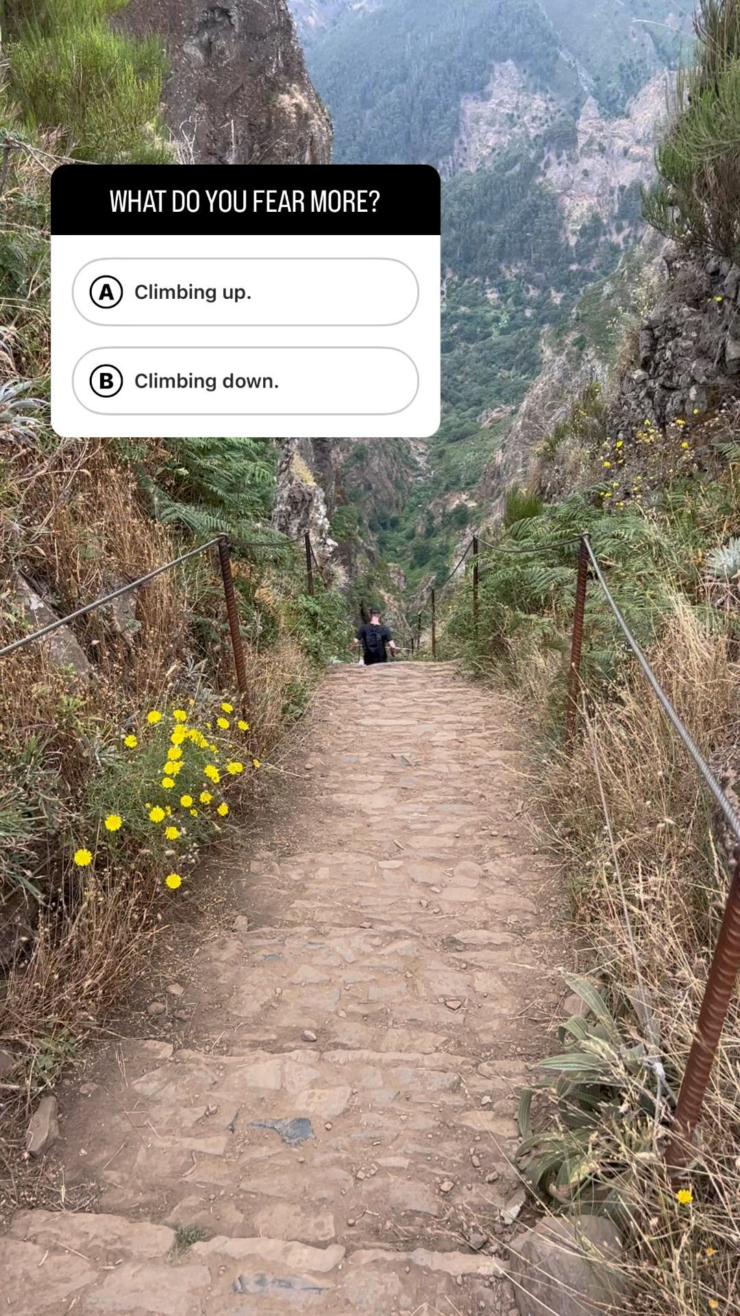 I had to STOP when I came to this point of my hike as it was the first steep decline and my mind was playing tricks with me. After reasoning, I walked down and it seemed easier than it looked. So why did my brain make me stop?
Fearing the descent down steep steps more than the ascent is influenced by a blend of psychological and evolutionary factors. The uncertainty of not seeing the entire path ahead creates a heightened sense of perceived risk, triggering fear. Additionally, the instinctual fear of falling, coupled with the perception of reduced control when descending, contributes to this unease.
Also, our evolutionary history plays a role, as descending treacherous terrain in human history often carried a higher risk of injury. This legacy has ingrained caution when going downhill. Finally, personal experiences, especially negative ones like previous falls (which I had as a child) can reinforce this fear, shaping our responses to steep descents.
Our brains are always working for us, we just need to understand the programming and sometimes “override” or “upgrade. 😉
#NeuroscienceOfFear #AmygdalaAmplification #CerebellumBalance #FearReinforcement #DescendingChallenge #PrefrontalCortexEvaluation #SteepStepsFear #HeightenedDescentFear