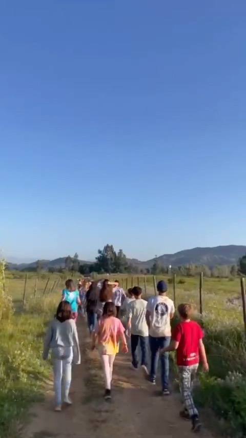 Blueberry picking with Session Three! Thank you @luzmariadiaazz for this sweet reel! ❤️
#campmakemake
#arandanosorganicos
#chile
#regiondelmaule
#naturelovers