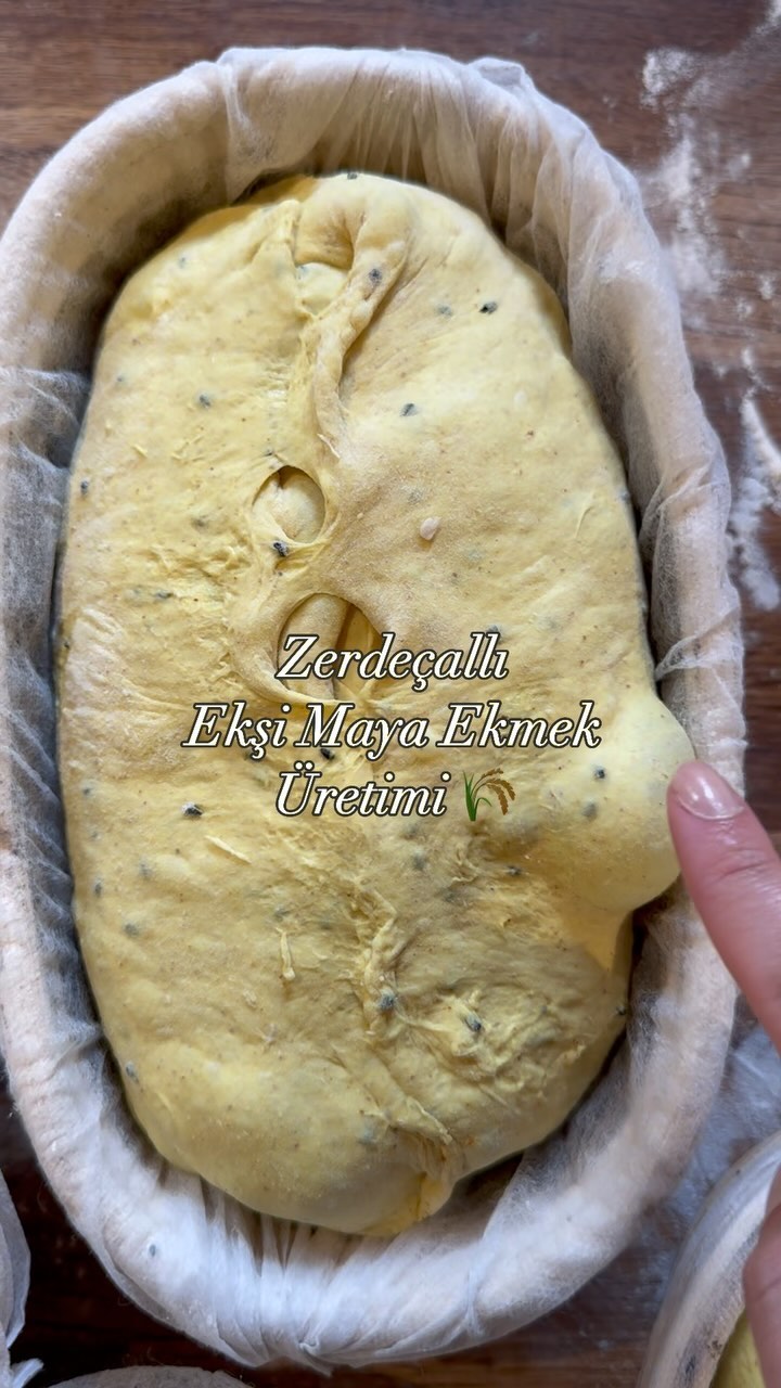 Zerdeçallı Ekşi Maya Ekmek 🌾🫶🏻
#oldfarm #bakery #ekşimaya #izmirekşimaya #izmirartizanekmek