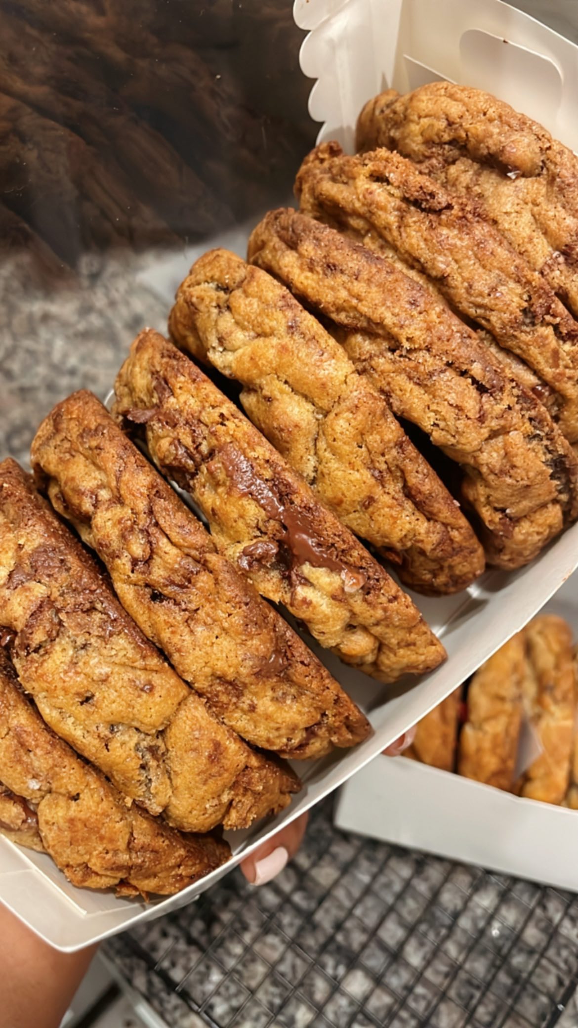🍪✨BROWN BUTTER CHOCOLATE CHUNK COOKIES 🍪✨
•
•
•
These delicious cookies have been our top seller!! They’re thick, chocolaty, chewy, and have perfect crisp edges! Sure to please any cookie lover✨!!
•
@clarajanescakes
•
•
#cookies #cookiesofinstagram #cookie #brownbuttercookies #chocolate #chocolatelover #bestcookies #nyccookies #nycbaker #nybaker #flakeysalt #hugecookies #cookiegram #cookietime #yumm #baking #bakedgoodies #dessert #reels #trending #bakersofinstagram #cookielover #cookiebox #instacookie