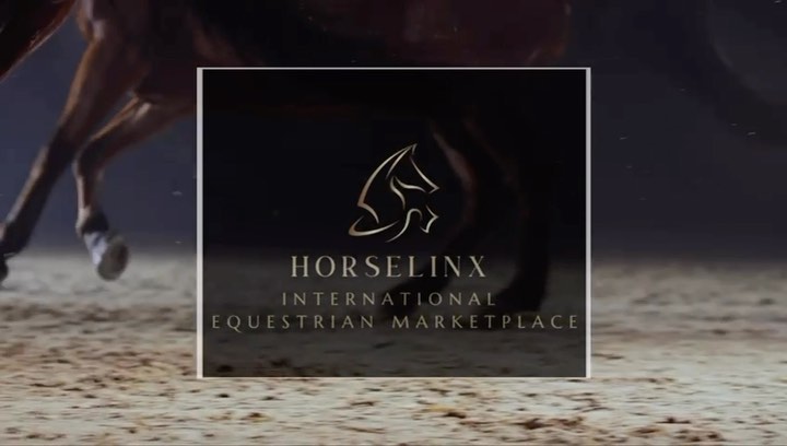 WE ARE BACK!
#horselinx #equinemarketplace #equinevideo #horse #equine #equinevideography #advertising #saddles #jumping #showjumping #dressage #dressagehorse #eventing #cowboys #careers #holidays #events #new