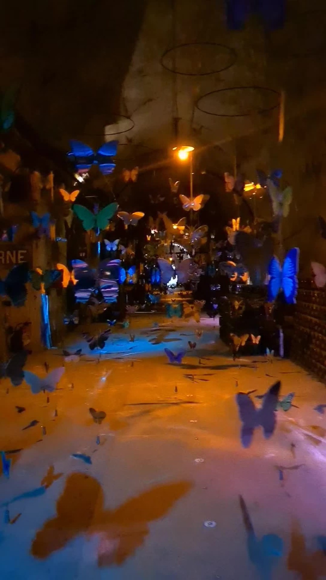 Visit the butterfly Champagne gallery !
#toursinchampagne
#tourwithlocals
#besttours #winetours #champagne #champagneexperience 
#champagnelover #champagnelovers
#champagneaddict #champagne
#private #privatexperience #honeymoon #champagnesecret #champagnemoments #champagneprivateexperience #luxurychampagne #finechampagne #champagneguide #champagnelife  #champagnetasting #winelover #winelovers #winetasting  #wineblogger #winedestination #winetravel #winetraveler
#thechampagnewineclub #champagneluxurytrip