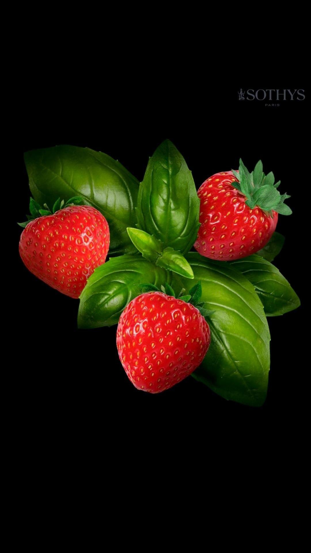 Saison Pflegen-Erdbeere-Basilikum #fleurdelys#naturkosmetik#krefeld#besteskincare#forstwaldkrefeld#erdbeeren#basilum#antioxidant