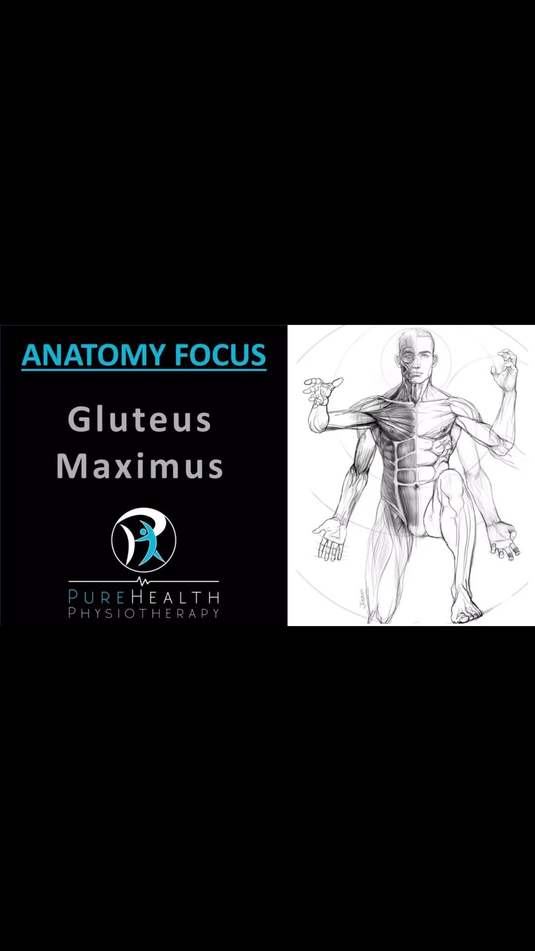 A deeper look into the Gluteus Maximus muscle, encompassing attachment points, nerve/blood supply, actions, and relevant exercises.
👇🏼For more information contact us on👇🏼
07443419973
Info@purehealthphysio.co.uk
www.purehealthphysio.co.uk
#physiotherapy #sportsrehab #sportsmassage #dryneedling #acupuncture #sportsmassage #glutes #glutemax #glutesanatomy #gluteusmaximus #health #anatomy #sunburyonthames #feltham #ashfordmiddlesex #shepperton #thegymfeltham #thegymsunbury
