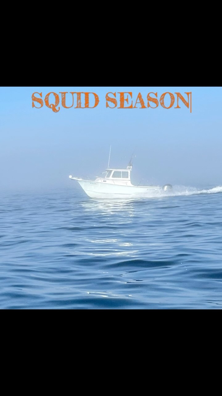 Squid 🦑 season is close. This weekend’s Blog post has a video from the bench describing each. Blog access here. https://www.monomoytackle.com/post/squid-rig-updates-tactics-and-gear #myfishingcapecod #capecodfishing #squidfishing #rhodeislandfishing #newyorkfishing #longislandfishing #newjerseyfishing #fish36 #onthewater #onthewatermagazine #monomoytackle #steigercraftboats