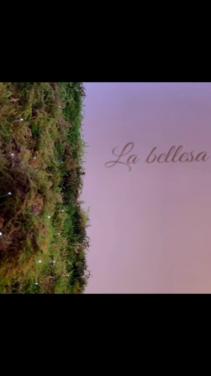 🍀DECORACIÓ VEGETAL PRESERVADA🍀
Hi ha espais que quan acabes no els podries imaginar d’una altra manera. Sabeu que és la vegetació preservada? #espaih #interiordesign #preservado #decoracion #design #esteticajudith