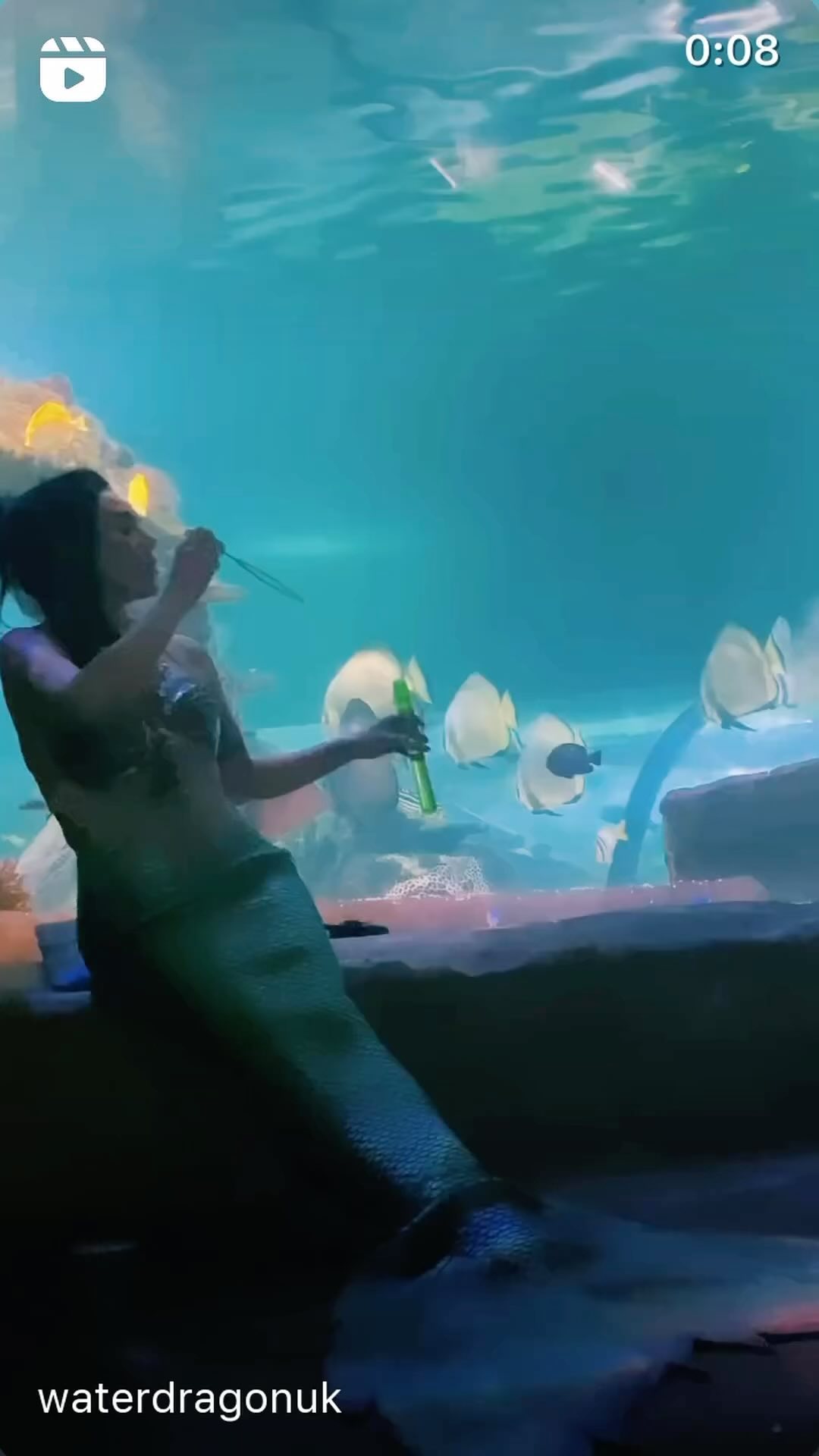 One of our magical mermaids, @waterdragonuk spent time at @hastings_aquarium this week! She’ll be back next week too!
If you’re looking for mermaids 🧜♀️ or pirates 🏴☠️ for your next event, make sure you contact us via events@hireamermaid.co.uk!!