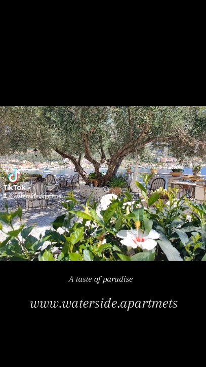 #sea #beach #island #kefalonia #rent #vacations #greece #holiday #coast #studio #rent #agiaefimia #watersideapartments #seaview #greekislands #paradise #swimming