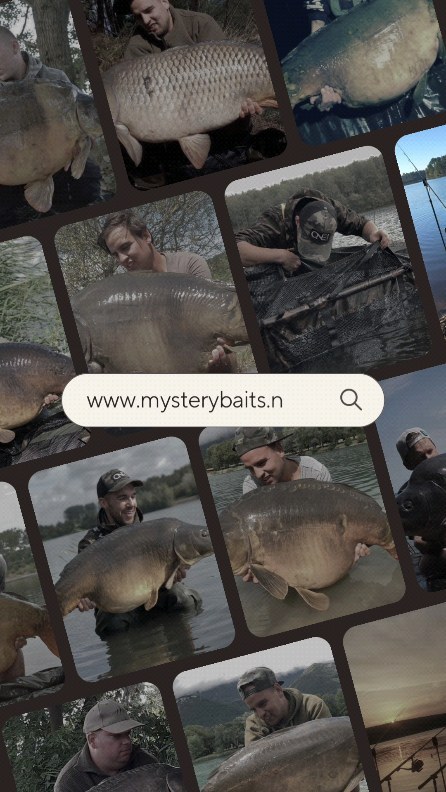 Check our site out now 👌 https://www.mysterybaits.nl/ 🎣
https://www.mysterybaits.nl/shop 🛒
#karpfen #karpfenangeln #karpervisser #karpervisser #karper #karpervisseninnederland #karpfen #carpfishing #mysterybaits #spicysquid #sweetsquid #carpfishing #carpbaits #carp #carphotography #carpangeler #karper #karpervisseninnederland #carplifestyle #karpfen #karpfenangeln #karpfenangeln #bigcarp #fishporn #instacarp #carpy #mirrorcarp #bigfish #fisherman #carpzilla #boilies #freshstock