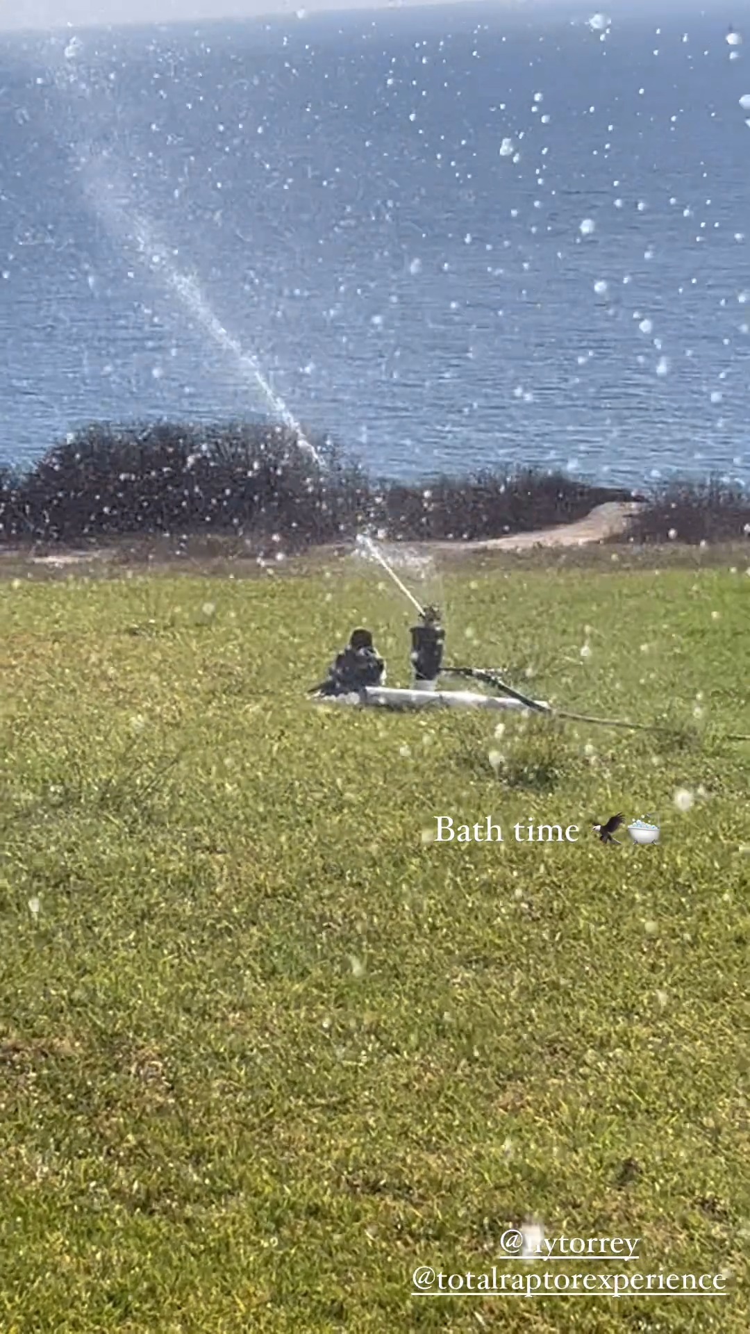 Ohhh Bunco!!!! We do love sprinklers 🤣🤣🤣
Thank you Torrey Pines Gliderport @flytorrey