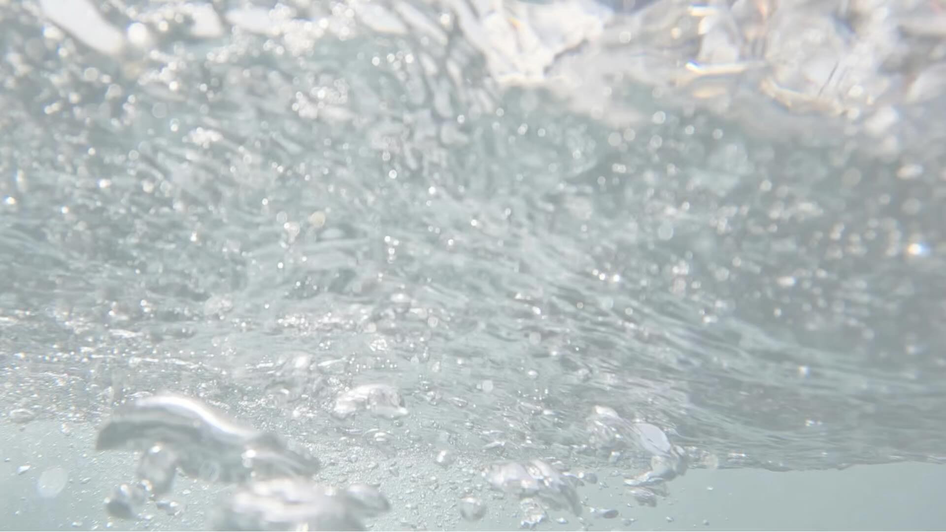 Been a great month of diving in Palm Beach this month and have really enjoyed diving with the Kent Island Scuba team! If you've been wanting to "check-off" scuba diving from your list, we're all here to help!
Special Thanks to Walker's Dive Charters for ALL of the great dives!!!