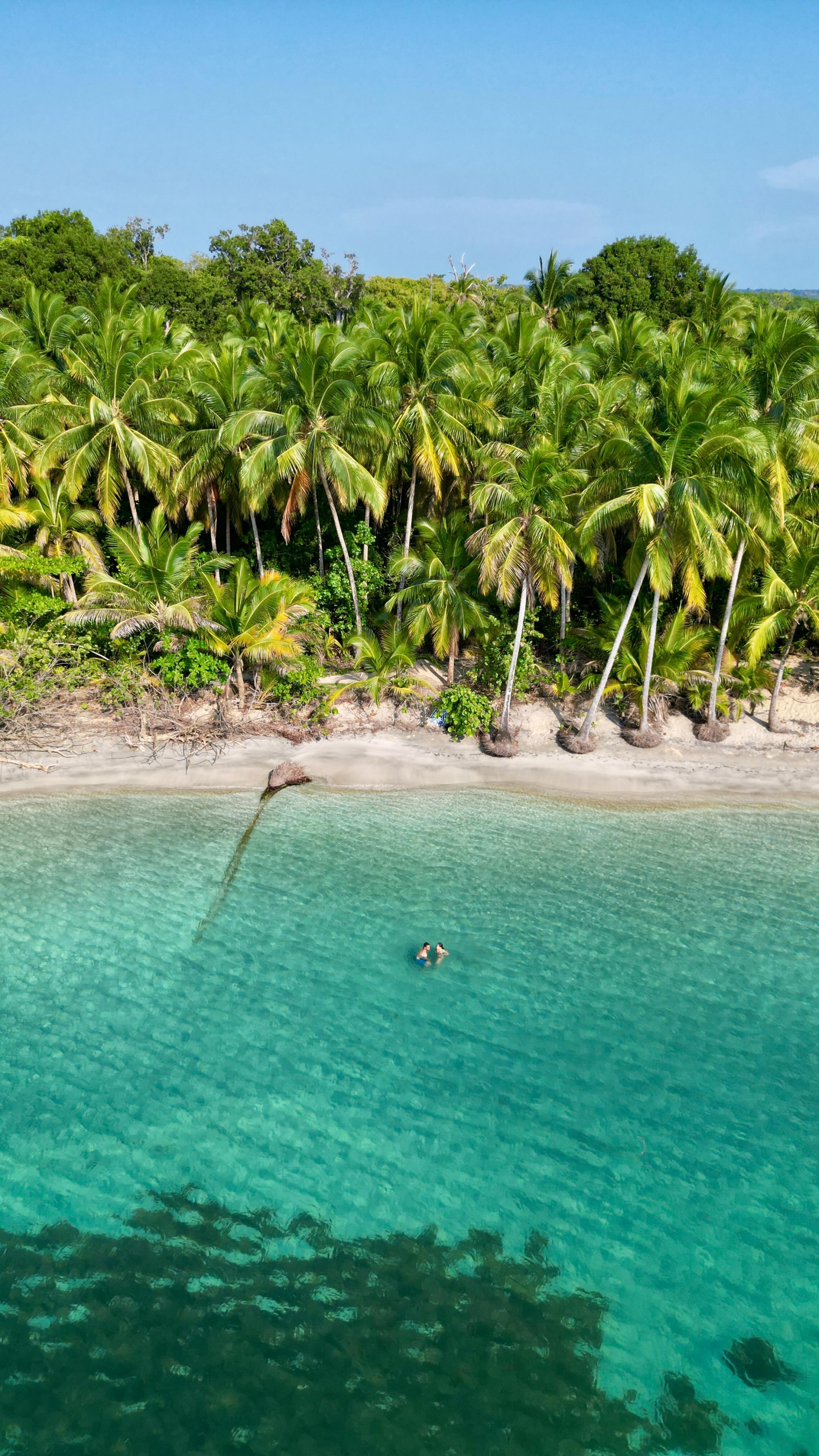 ↓ l’itinéraire idéal pour découvrir ce pays incroyable 🇵🇦
🏙️ Panama City : capitale du Panama, elle accueille les + hauts gratte-ciels d’Amérique Centrale.
⛰️ El Valle de Anton : située au coeur d’un ancien cratère de volcan, cette ville offre un environnement verdoyant et un climat agréable.
🏄🏼♀️ Santa Catalina : ce petit village de pêcheurs est surtout connu pour les activités surf, plongée et snorkeling. C’est également la porte d’entrée dans la réserve naturelle de Coiba.
🌋 Boquete : village niché au pied du volcan barú, point culminant du pays, c’est l’endroit idéal pour les amoureux de la nature et des randonnées.
🏝️ Bocas del Toro : cet archipel situé côté Caraïbes, c’est l’endroit rêvé pour ceux qui recherchent des plages paradisiaques aux eaux cristallines. C’est également un endroit idéal pour les fêtard.
🐠 San Blas : composé de 370 îles, cet archipel est exclusivement géré par une communauté indigène autonome. Un lieu totalement indépendant du reste du pays offre un cadre idyllique en plein milieu des Caraïbes.
📎 Tu peux retrouver dès maintenant toutes les infos utiles sur mon blog dans la rubrique « Panama » (lien en bio)
⬇️ Enregistre ce réel pour le retrouver facilement !
#panama #itineraire #lesaventuresdelo #blogvoyage #voyage #itinerary #travel #visitpanama