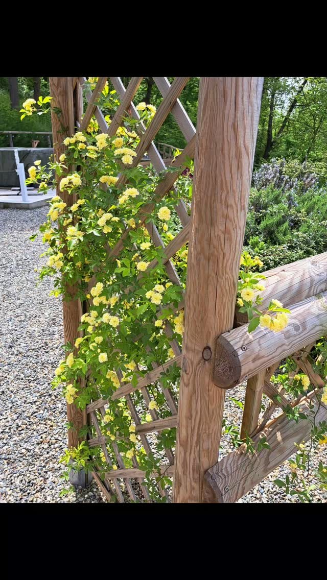 Celebrate spring at Villa Rocco
📍strada Rosignano 11,15039
⌨️ villarocco.com
📧 11villarocco@gmail.com
🌏 +39 345 584 9222
#spring
#monferratotourist
#monferratounesco
#weekend breaks
#placestostay
#italia