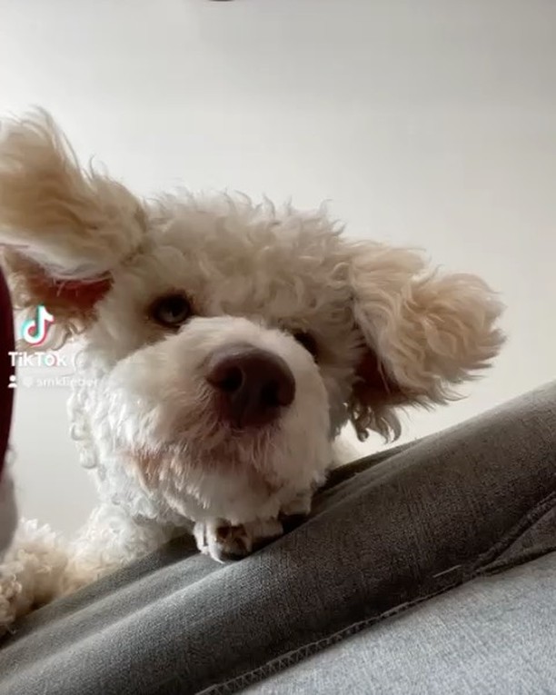 Typisch unser Wenzel😂