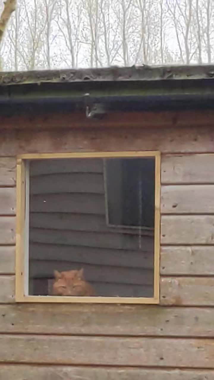 Minnie seems to be settling just fine !!!