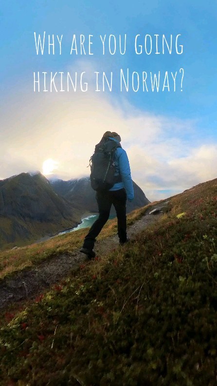 Why are you going hiking in Norway?
#naturelove #mountains #hikingadventures #north #norway #lofoten #clearbluewater #dreambeach #kvalvikabeachtrail 🤩🗻📸🥰 @fadah920