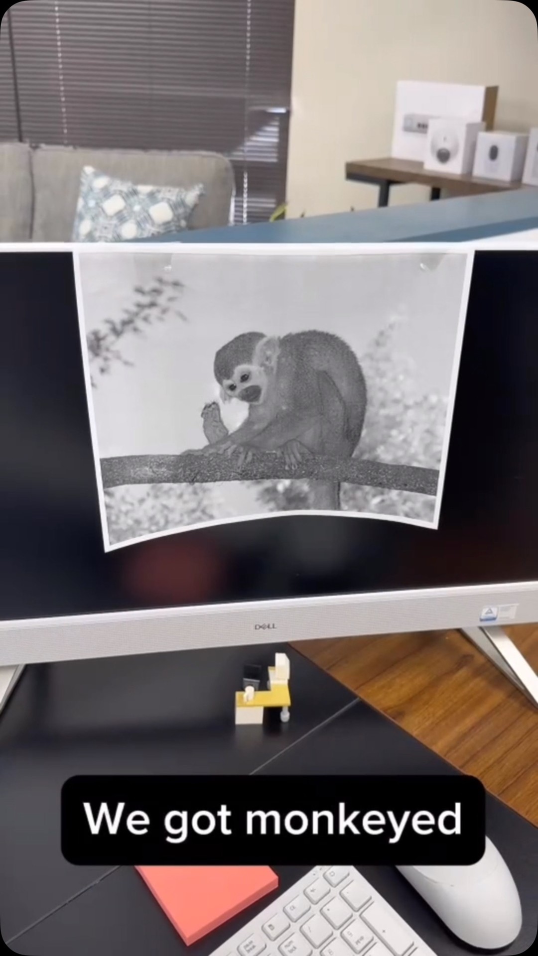 You might not be able to trust your coworkers not to prank you, but you can trust Cielo Systems to keep your internet fast, secure, and reliable!
#cielo #cielosystems #internet #wifi