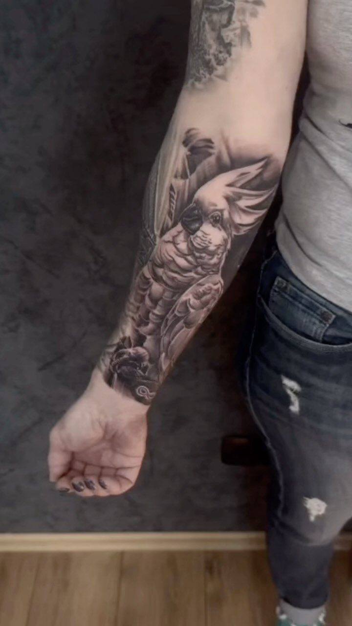 #kakadu #cockatoo
.
.
Gestochen von @marvinktattoo
.
Für Termine
📍 Biefangstraße 106
46149 Oberhausen
📞 0208/41 19 26 76
WhatsApp: 0208/41 19 26 76
✉️ studio76tattoos@gmail.com
Oder direkt hier 😉
.
.
#cockatoo #inkedlifestyle #oberhausen #nrw #ruhrpott #newtattoo