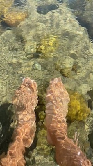 Feet in the river.
Feet in the alpine lakes.
Sweet summer of happy toes. 👣
📍1.Buckeye Tree Lodge, 2. Eagle Lake
#buckeyetreelodge #sequoianationalpark #sequoia#kingscanyonnationalpark #threeriversca #hike #findyourpark #optoutside #onepercentfortheplanet #ecolodge #ecotourism #mountainlodge #sustainabletravel #yogaretreat #yogastudio #wellness #visitseki #nationalparks #river #summerswim #alpinelake