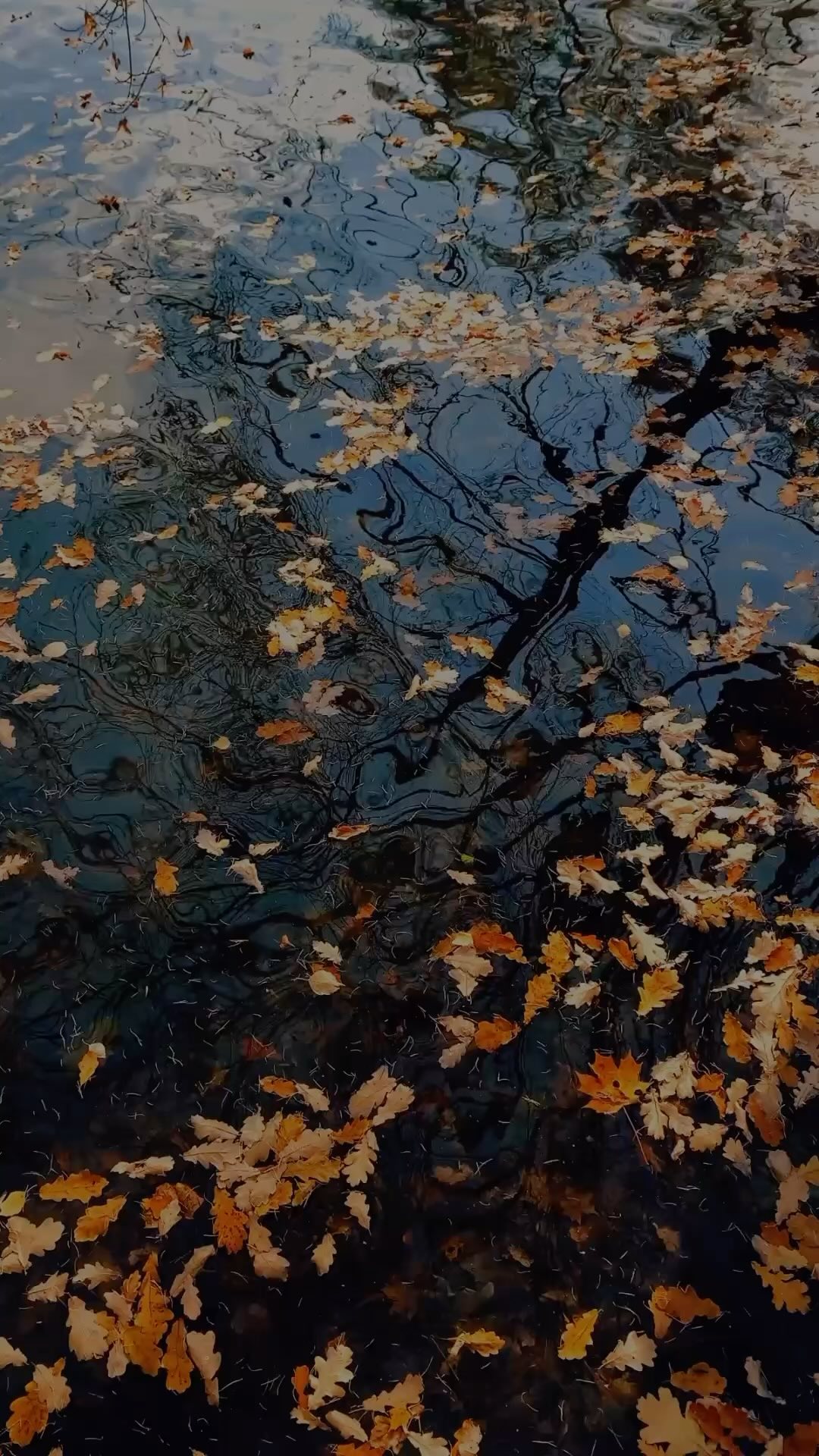 Two Actions That Will Save Your Life
October Edition of The Overflow is out | Link in bio