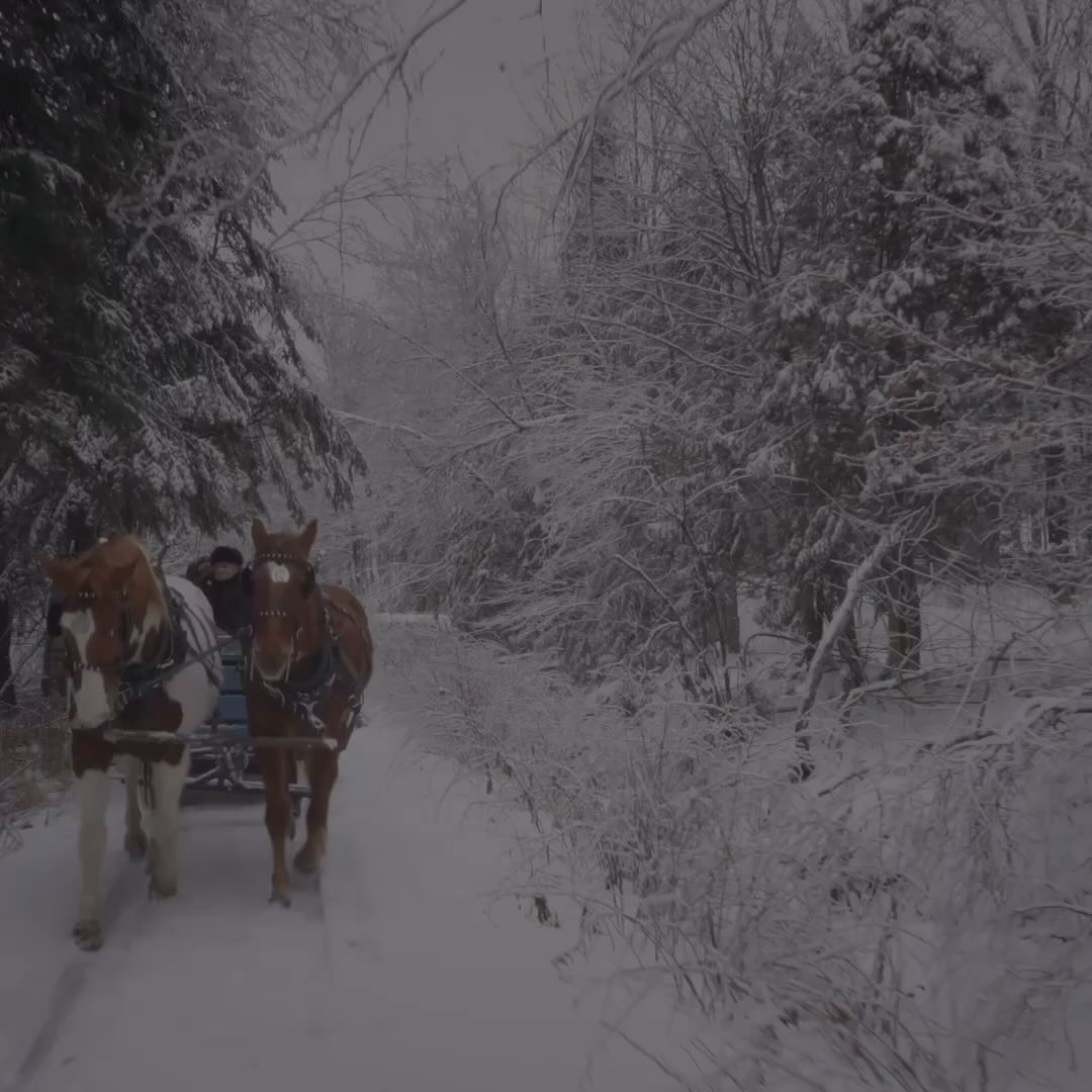 Wishing you a Merry Christmas and a Happy New Year from Topline Equine! 🎄🎉 Grateful for a year filled with amazing faces and incredible connections. Thank you for supporting our business – here’s to more adventures in the coming year! 🐎✨