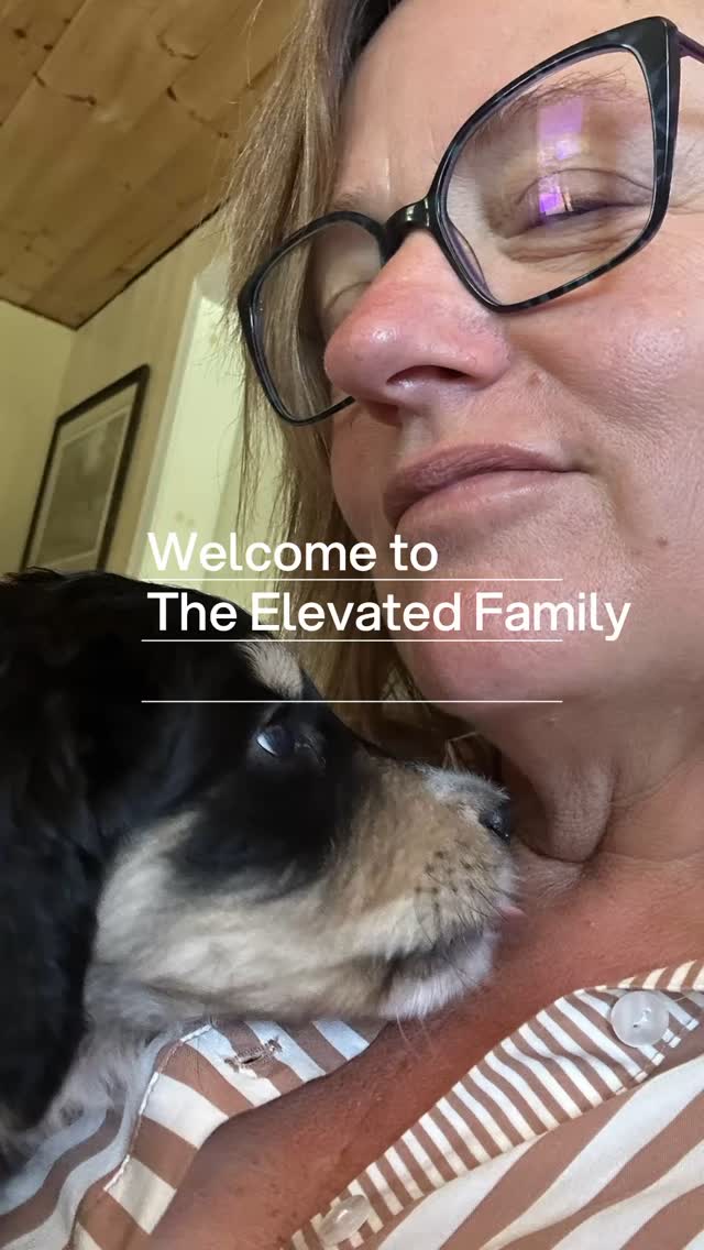 We welcome the new generation of our Elevated Standards Family! Their beautiful Bernedoodle pups are spectacular and thriving in their new homes! #bernedoodlesofinstagram #bernedoodlepuppy #bernedoodle #bernedoodlepuppies