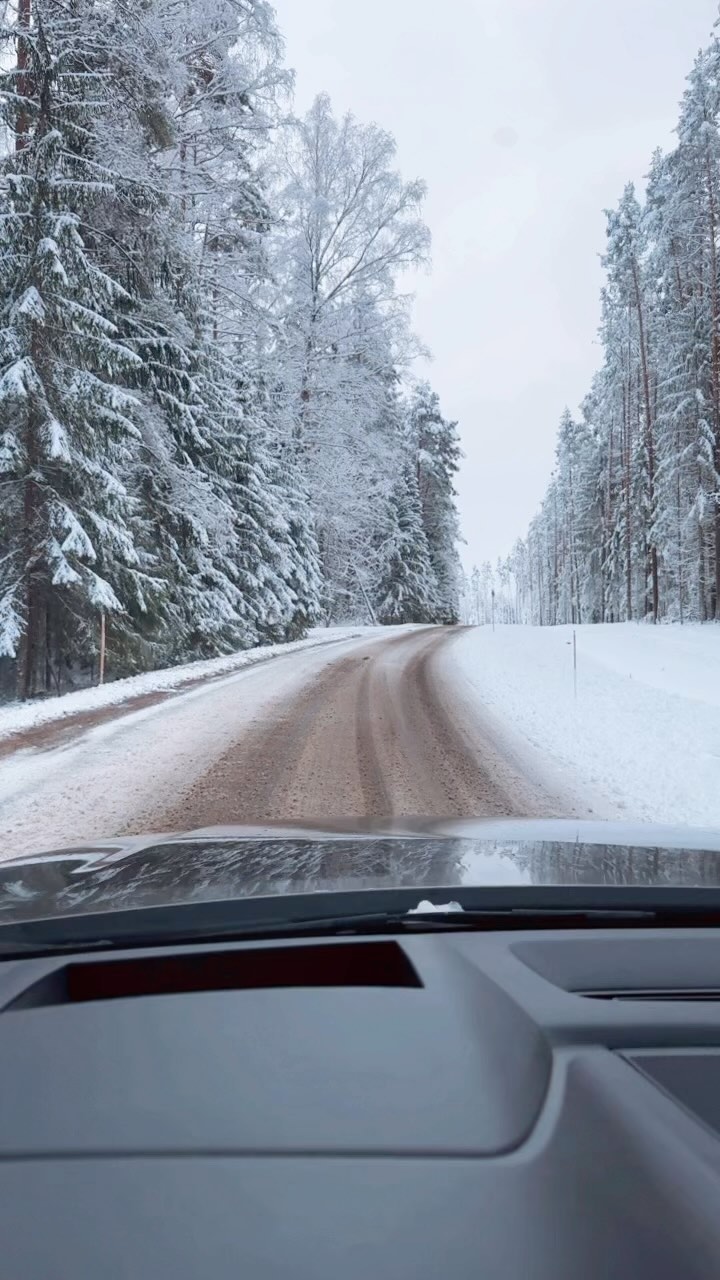 Driving home in Estonia. Magical ❄️ winter in Estonia. #estonia #drivinghome #winter #wintertime❄️ #snow #magical #nature #beautiful #beautifulestonia #forest